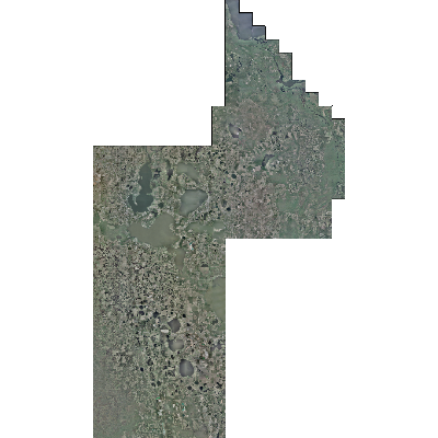 Export Image