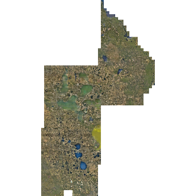 Export Image