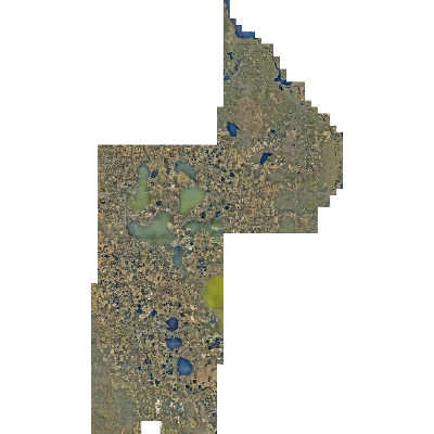 Export Image