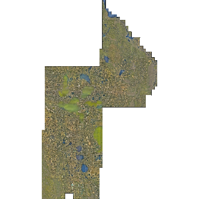 Export Image