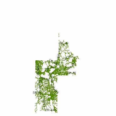 Export Image