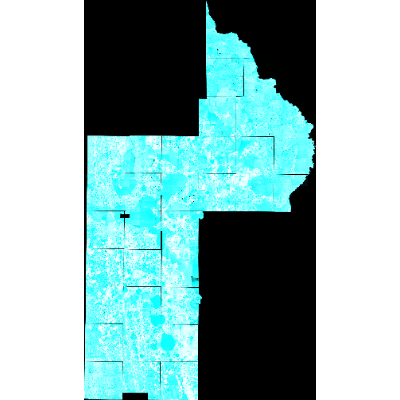Export Image