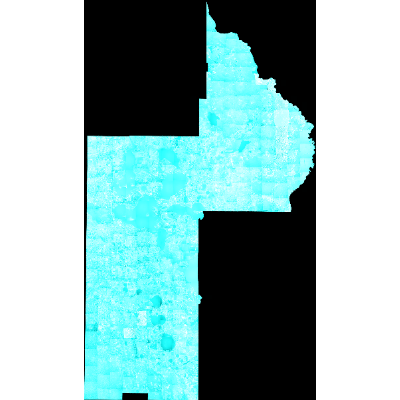 Export Image