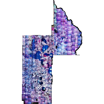 Export Image