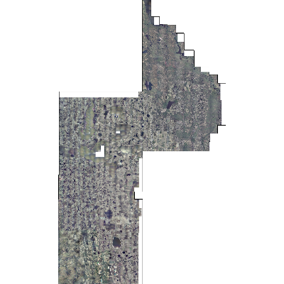 Export Image