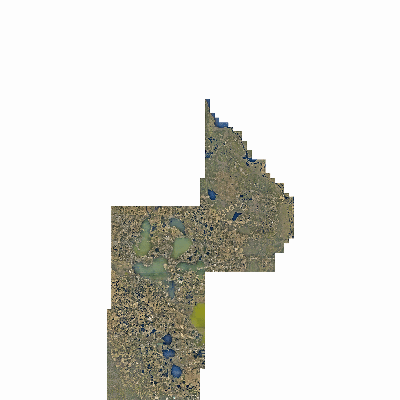 Export Image