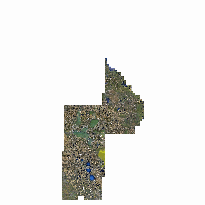Export Image
